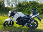 Sym wolf 125 cc, Motoren, Sym, Particulier, Sport, 125 cc