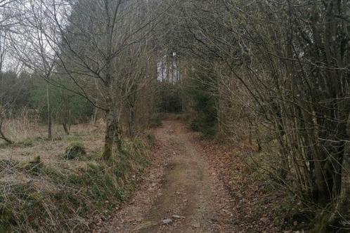 Terrain à vendre à Lierneux, Immo, Gronden en Bouwgronden, tot 200 m²