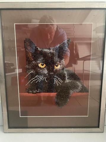 Kat beschikbaar voor biedingen