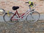 Vrouwenfiets merk: wheelpalace, Versnellingen, Overige merken, 50 tot 53 cm, Gebruikt