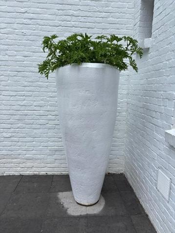 Mobach - Gigantische pot - J6+++ - in perfecte staat beschikbaar voor biedingen