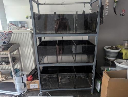 Aquarium stelling, Tickets en Kaartjes, Kortingen en Cadeaubonnen