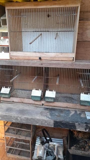 Kweek kooien vogels, Dieren en Toebehoren, Ophalen, Zo goed als nieuw, Hout, Broedkooi of Kweekkooi