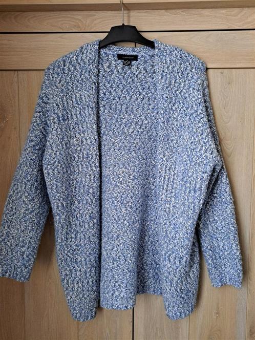 Dikke warme vest blauw maat S (grote maat), Kleding | Dames, Truien en Vesten, Zo goed als nieuw, Maat 38/40 (M), Blauw, Ophalen of Verzenden