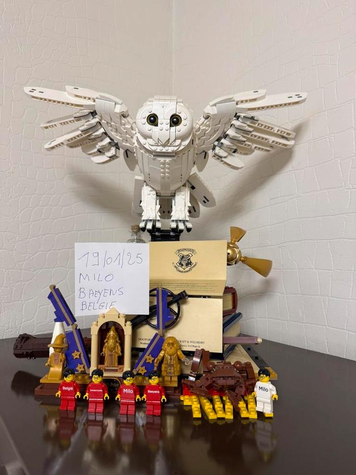 Lego harry potter uil, Kinderen en Baby's, Speelgoed | Duplo en Lego, Zo goed als nieuw, Lego, Ophalen of Verzenden