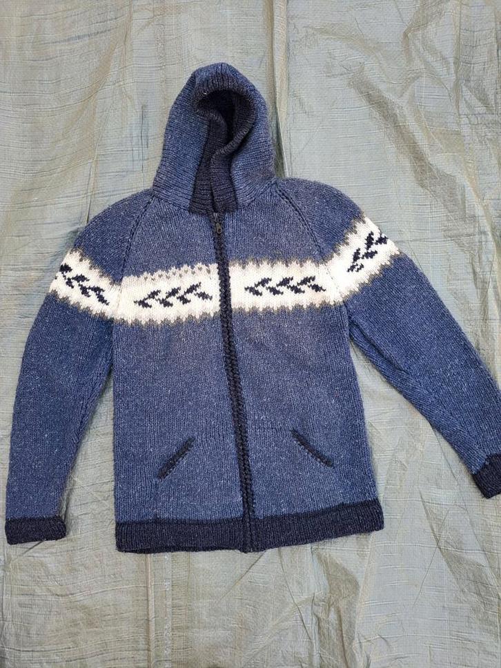 Wollen warme trui medium, Kleding | Heren, Truien en Vesten, Zo goed als nieuw, Ophalen of Verzenden