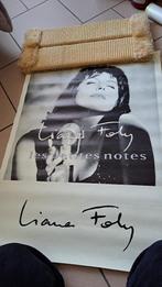 poster Liane Foly Les Petites Notes 1993, Enlèvement ou Envoi