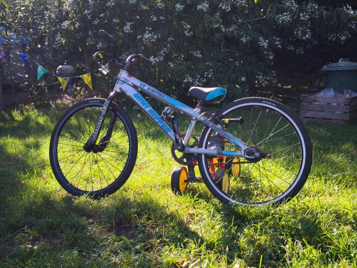 BMX Mini, Fietsen en Brommers, Fietsen | Crossfietsen en BMX, Gebruikt, 16 tot 20 inch, Aluminium, Ophalen