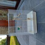 Cage pour oiseau, Enlèvement, Utilisé, Métal, Cage à oiseaux