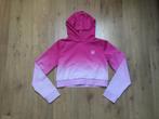 Siksilk, sweater maat 15, Kinderen en Baby's, Kinderkleding | Maat 170, Ophalen of Verzenden, Zo goed als nieuw