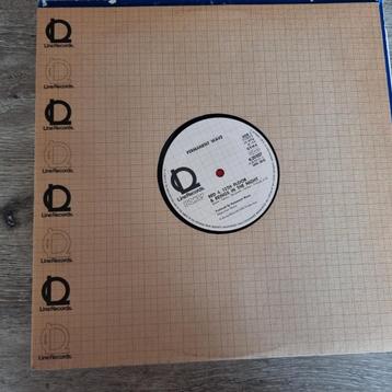 12" Permanent Wave – Permanent Wave beschikbaar voor biedingen