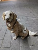 Hond beeld, Ophalen