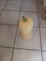 Butternutt - Courgette - Komkommers, Tuin en Terras, Ophalen, Nieuw, Overige typen