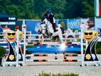 Ruiter aangeboden, Dieren en Toebehoren, Paarden, Zadelmak