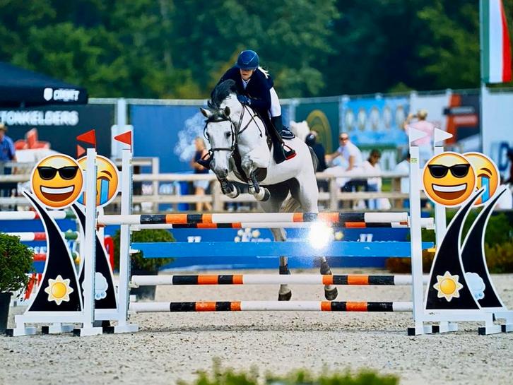 Ruiter en trainer aangeboden, Dieren en Toebehoren, Paarden, Zadelmak