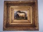 Schilderij schaap, Ophalen