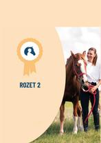 Ruiterbrevetten rozet 2 SAMENVATTING, Ophalen of Verzenden, Nieuw, Niet van toepassing, Astrid Huyghe