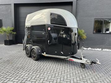 Böckmann Comfort 2-paards paardentrailer aluminium bodem +  beschikbaar voor biedingen
