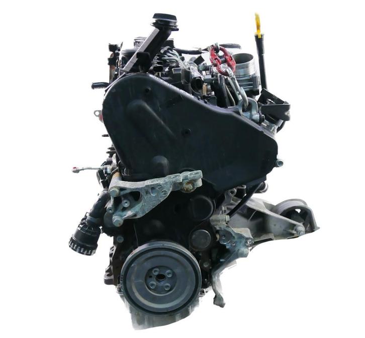 VW Volkswagen Transporter T6 2.0L DNAB DNA-motor, Auto-onderdelen, Motor en Toebehoren, Volkswagen, Gereviseerd, Ophalen of Verzenden