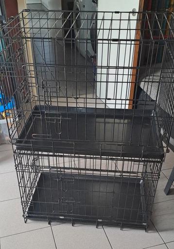  hondenbench beschikbaar voor biedingen