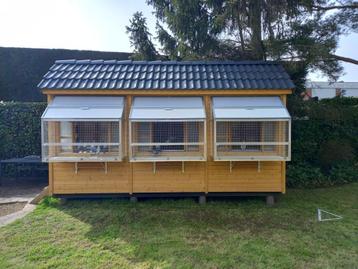 Prix téduit pigeonnier DEMSTER équipé à vendre à Lauwe, Pigeon voyageur