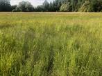 Gras op stam te koop in Herselt, Ophalen