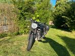 Triumph Street Twin 900, Motoren, Motoren | Triumph, 2 cilinders, 900 cc, Particulier, Meer dan 35 kW
