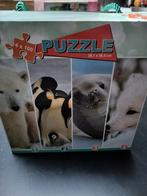 Puzzel 4x100st, Enlèvement, Plus de 50 pièces, Utilisé, 4 à 6 ans