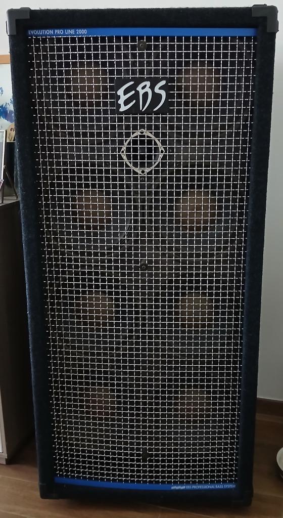 EBS PROLINE 810  BAS SPEAKERKAST, Muziek en Instrumenten, Versterkers | Bas en Gitaar, Gebruikt, Basgitaar, 100 watt of meer, Ophalen