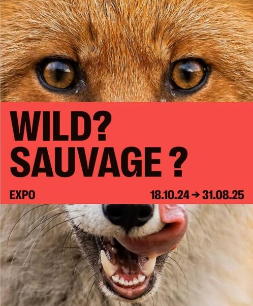 4 e-tickets voor de SAUVAGE-tentoonstelling? Instituut voor, Tickets en Kaartjes, Beurzen