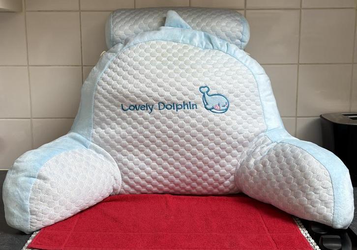 Rugondersteuningskussen, knuffelkussen, leeskussen etc..., Diversen, Overige Diversen, Zo goed als nieuw, Ophalen of Verzenden