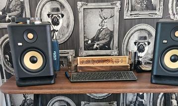 STUDIO MONITOREN KRK ROCKIT 5 OLD GEN. [ USED IT 1,5 Y ] beschikbaar voor biedingen