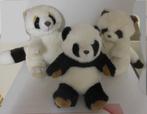 3 Panda knuffelberen (Anna club plush), Kinderen en Baby's, Ophalen