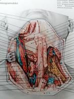 Anatomische educatiekaarten Geneeskunde & Farmacologie, Antiek en Kunst, Ophalen of Verzenden