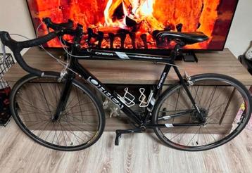 Koersfiets perfect in orde  beschikbaar voor biedingen