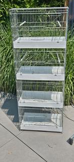 Cage élevage, Animaux & Accessoires, Oiseaux | Cages & Volières, Enlèvement, Utilisé, Métal, Cage d'élevage