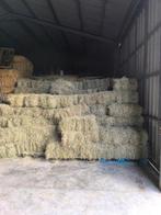 Petits ballots de foin a vendre, Dieren en Toebehoren, Ophalen