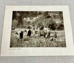 Moissonneuses indigènes Chypre, photo ancienne 1906, Comme neuf, Avant 1940, Enlèvement ou Envoi