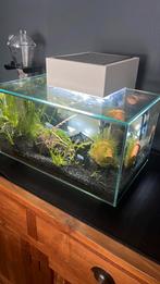 Aquarium, Dieren en Toebehoren, Ophalen, Zo goed als nieuw