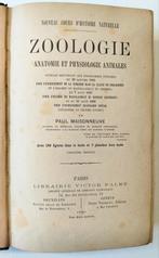 Zoologie, Anatomie et Physiologie Animals. 1890., Ophalen of Verzenden