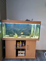 Juwel aquarium 300 liter + kast, Dieren en Toebehoren, Ophalen, Zo goed als nieuw