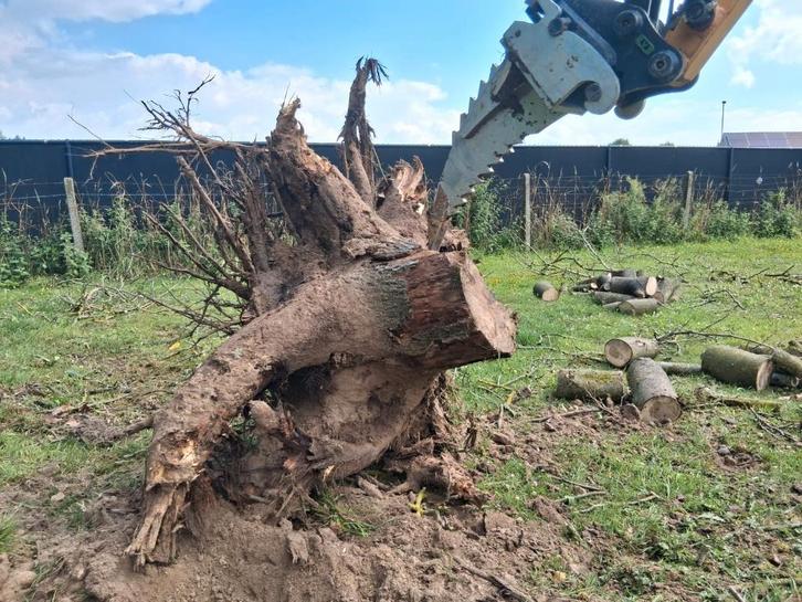 Couteau de racines  CW05 CW10 Klac Morrin Lehnhoff, Jardin & Terrasse, Déchiqueteurs, Enlèvement