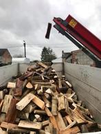Bois de chauffage sec, Tuin en Terras, Brandhout, Ophalen, Beukenhout