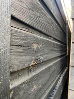 planbord insteekbord, Ophalen