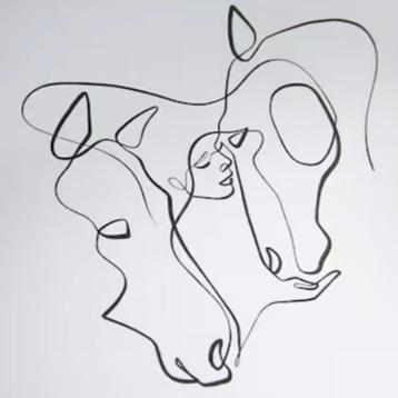 Natural horsemanship beschikbaar voor biedingen