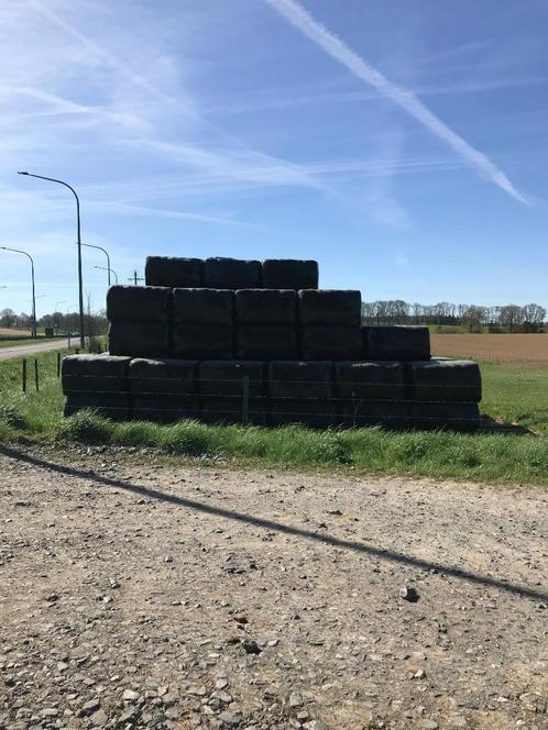 Foin emballé sec, Zakelijke goederen, Landbouw | Veevoer, Ophalen