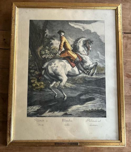 Gravure Johann Elias Ridinger - Palotaden Rechts, Antiek en Kunst, Kunst | Schilderijen | Klassiek, Ophalen