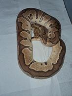 Fire clown 0.1, Serpent, 3 à 6 ans