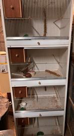 Kweekkooien met LED verlichting, Animaux & Accessoires, Oiseaux | Cages & Volières, Enlèvement, Comme neuf, Bois, Cage d'élevage