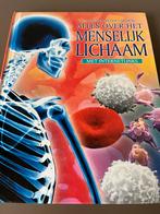 Claybourne - Alles over het menselijk lichaam, Boeken, Gezondheid, Dieet en Voeding, Ophalen of Verzenden, Zo goed als nieuw, Claybourne